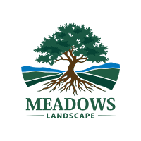 Meadows Landscape