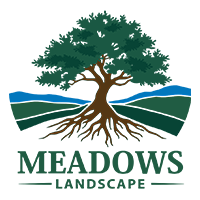 Meadows Landscape